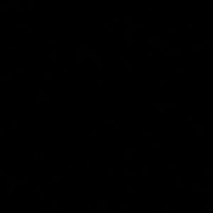 Meet your Posher, Connor